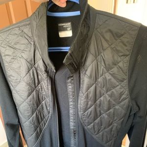 Icebreaker merino wool sweater